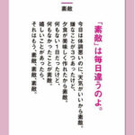 素敵な毎日